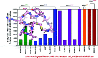 Graphical abstract: Discovery of cell active macrocyclic peptides with on-target inhibition of KRAS signaling