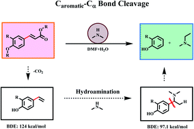 Graphical abstract: Organic amine mediated cleavage of Caromatic–Cα bonds in lignin and its platform molecules