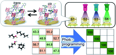 Graphical abstract: A photoprogrammable electronic nose with switchable selectivity for VOCs using MOF films