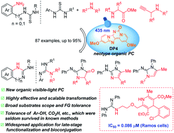 Graphical abstract: De novo design and synthesis of dipyridopurinone derivatives as visible-light photocatalysts in productive guanylation reactions