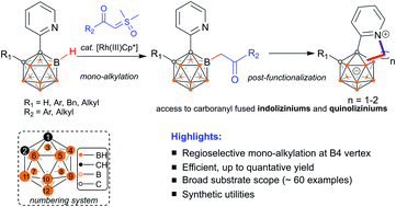 Graphical abstract: Metal-catalyzed B–H acylmethylation of pyridylcarboranes: access to carborane-fused indoliziniums and quinoliziniums
