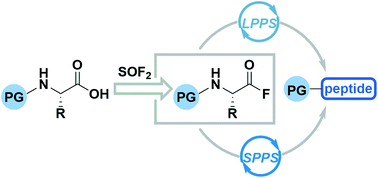 Graphical abstract: Rapid and column-free syntheses of acyl fluorides and peptides using ex situ generated thionyl fluoride