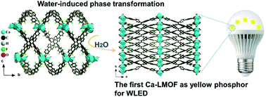 Graphical abstract: Achieving a blue-excitable yellow-emitting Ca-LMOF phosphor via water induced phase transformation