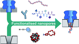 Graphical abstract: Functionalised nanopores: chemical and biological modifications