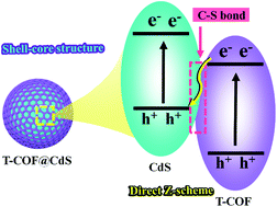 Graphical abstract: Design of well-defined shell–core covalent organic frameworks/metal sulfide as an efficient Z-scheme heterojunction for photocatalytic water splitting