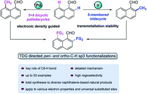 Graphical abstract: Overcoming peri- and ortho-selectivity in C–H methylation of 1-naphthaldehydes by a tunable transient ligand strategy