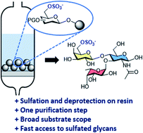 Graphical abstract: On resin synthesis of sulfated oligosaccharides