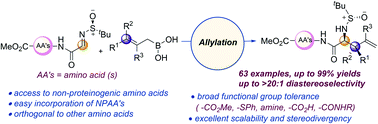 Graphical abstract: An expeditious route to sterically encumbered nonproteinogenic α-amino acid precursors using allylboronic acids