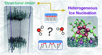 Graphical abstract: The role of structural order in heterogeneous ice nucleation