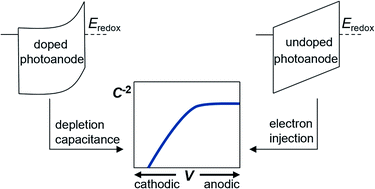 Graphical abstract: Interpretation of Mott–Schottky plots of photoanodes for water splitting
