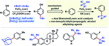 Graphical abstract: Synergistic Brønsted/Lewis acid catalyzed aromatic alkylation with unactivated tertiary alcohols or di-tert-butylperoxide to synthesize quaternary carbon centers