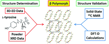 Graphical abstract: A structure determination protocol based on combined analysis of 3D-ED data, powder XRD data, solid-state NMR data and DFT-D calculations reveals the structure of a new polymorph of l-tyrosine