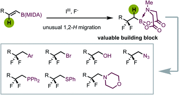 Graphical abstract: Hypervalent iodine-mediated β-difluoroalkylboron synthesis via an unusual 1,2-hydrogen shift enabled by boron substitution