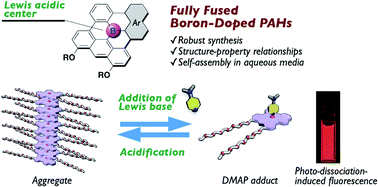 Graphical abstract: Fully fused boron-doped polycyclic aromatic hydrocarbons: their synthesis, structure–property relationships, and self-assembly behavior in aqueous media