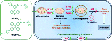 Graphical abstract: Fighting metallodrug resistance through alteration of drug metabolism and blockage of autophagic flux by mitochondria-targeting AIEgens