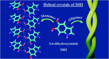 Graphical abstract: Exciton interactions in helical crystals of a hydrogen-bonded eumelanin monomer