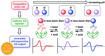 Graphical abstract: Inducing a pH-dependent conformational response by competitive binding to Zn2+ of a series of chiral ligands of disparate basicity