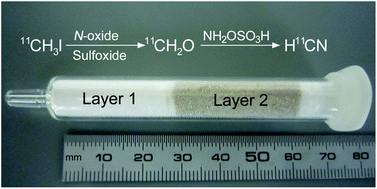 Graphical abstract: Rapid ‘on-column’ preparation of hydrogen [11C]cyanide from [11C]methyl iodide via [11C]formaldehyde