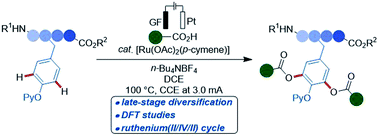 Graphical abstract: Ruthenaelectro-catalyzed C–H acyloxylation for late-stage tyrosine and oligopeptide diversification