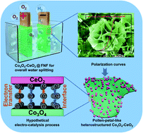 Graphical abstract: In situ construction of pollen-petal-like heterostructured Co3O4–CeO2 on 3D FeNi3 foam as a bifunctional catalyst for overall water splitting
