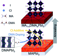 Graphical abstract: Synergetic effects of DMA cation doping and Cl anion additives induced re-growth of MA1−xDMAxPbI3 perovskites