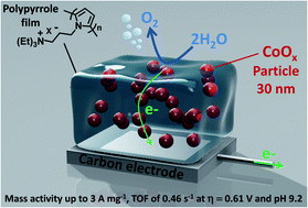 Graphical abstract: A cobalt oxide–polypyrrole nanocomposite as an efficient and stable electrode material for electrocatalytic water oxidation