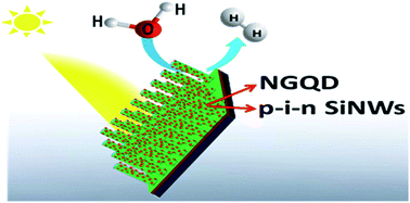 Graphical abstract: p–i–n silicon nanowire array–NGQD: a metal-free electrocatalyst for the photoelectrochemical hydrogen evolution