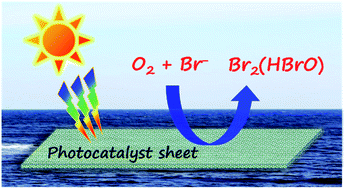Graphical abstract: Effective solar-light-driven photocatalytic production of hypobromous acid on film-like photocatalyst sheets