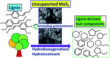 Graphical abstract: Thermal annealing effects on hydrothermally synthesized unsupported MoS2 for enhanced deoxygenation of propylguaiacol and kraft lignin