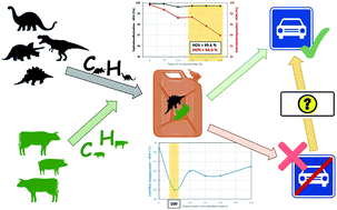 Graphical abstract: Animal fats as a suitable feedstock for co-processing with atmospheric gas oil