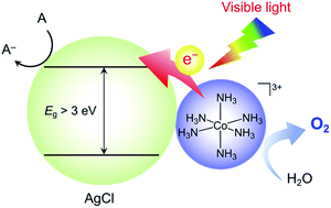 Graphical abstract: In situ formation of a molecular cobalt(iii)/AgCl photocatalyst for visible-light water oxidation