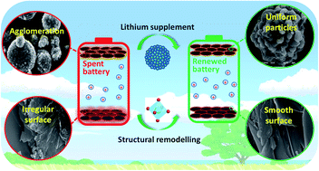 Graphical abstract: A closed-loop regeneration of LiNi0.6Co0.2Mn0.2O2 and graphite from spent batteries via efficient lithium supplementation and structural remodelling