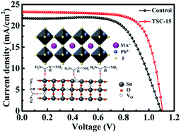 Graphical abstract: Thiosemicarbazide-complexed SnO2 electron transport layers for high-efficiency MAPbI3 perovskite solar cells