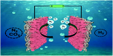 Graphical abstract: Enhanced electrocatalytic activity of a layered triple hydroxide (LTH) by modulating the electronic structure and active sites for efficient and stable urea electrolysis