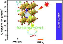 Graphical abstract: Coupling of MAPbI3 microcrystals with conductive polyaniline for efficient visible-light-driven H2 evolution