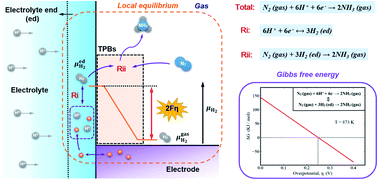 Graphical abstract: Thermodynamic analysis of the electrochemical synthesis of ammonia in solid-state proton-conducting electrochemical reactors considering interfacial potential steps