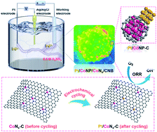 Graphical abstract: Electrochemical deposition of electronically rich Pt single atoms and nanocrystals on porous carbon for enhanced electrocatalysis in strong acids