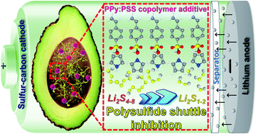 Graphical abstract: Synergistic effect between PPy:PSS copolymers and biomass-derived activated carbons: a simple strategy for designing sustainable high-performance Li–S batteries