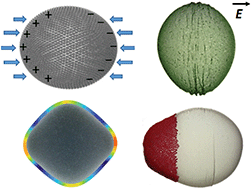 Graphical abstract: Electric-field-induced deformation, yielding, and crumpling of jammed particle shells formed on non-spherical Pickering droplets