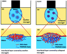 Graphical abstract: Adsorption dynamics of thermoresponsive microgels with incorporated short oligo(ethylene glycol) chains at the oil–water interface