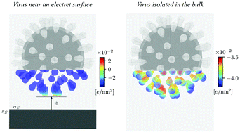 Graphical abstract: Electrostatic interactions between the SARS-CoV-2 virus and a charged electret fibre