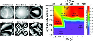 Graphical abstract: Dynamic stabilisation during the drainage of thin film polymer solutions