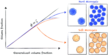 Graphical abstract: Characterization of the volume fraction of soft deformable microgels by means of small-angle neutron scattering with contrast variation