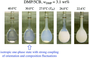 Graphical abstract: Phase equilibrium and dielectric relaxation in mixture of 5CB with dilute dimethyl phthalate: effect of coupling between orientation and composition fluctuations on molecular dynamics in isotropic one-phase state