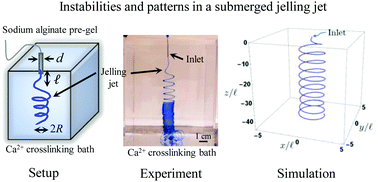 Graphical abstract: Instabilities and patterns in a submerged jelling jet