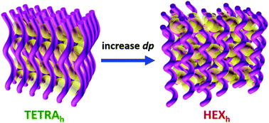 Graphical abstract: Superhelical DNA liquid crystals from dendrimer-induced DNA compaction
