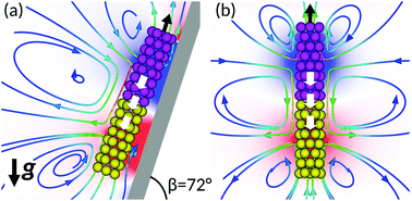 Graphical abstract: Metallic microswimmers driven up the wall by gravity