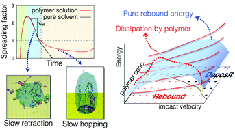 Graphical abstract: Suppressing the rebound of impacting droplets from solvophobic surfaces by polymer additives: polymer adsorption and molecular mechanisms
