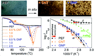 Graphical abstract: Molecular mobility and crystallization of renewable poly(ethylene furanoate) in situ filled with carbon nanotubes and graphene nanoparticles