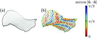 Graphical abstract: Deformation and orientational order of chiral membranes with free edges